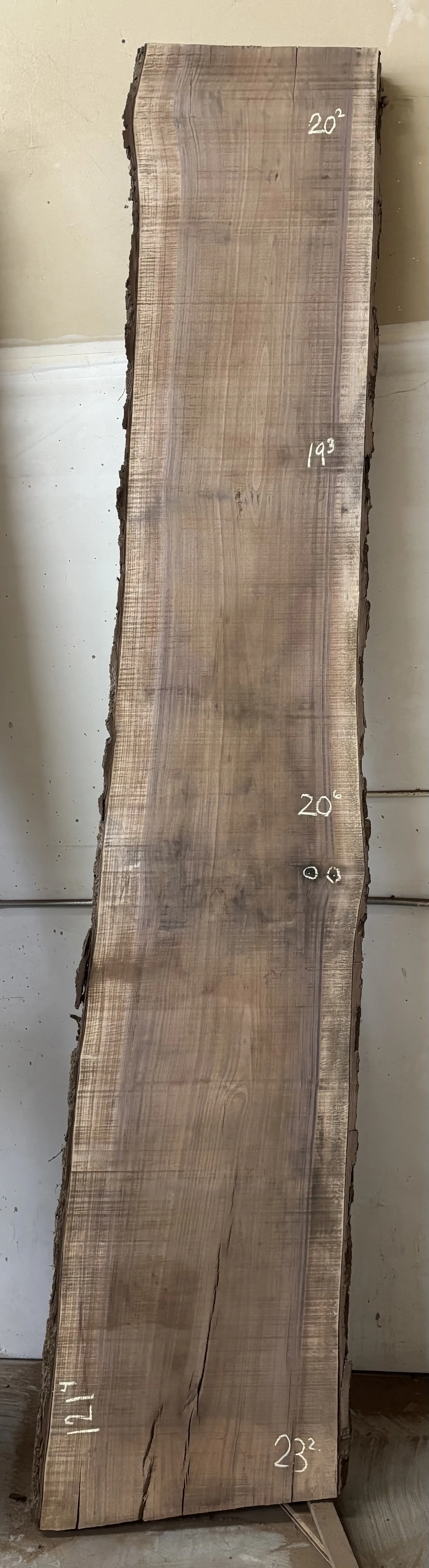 Walnut Slab B — Walnut live edge slab photo 1
