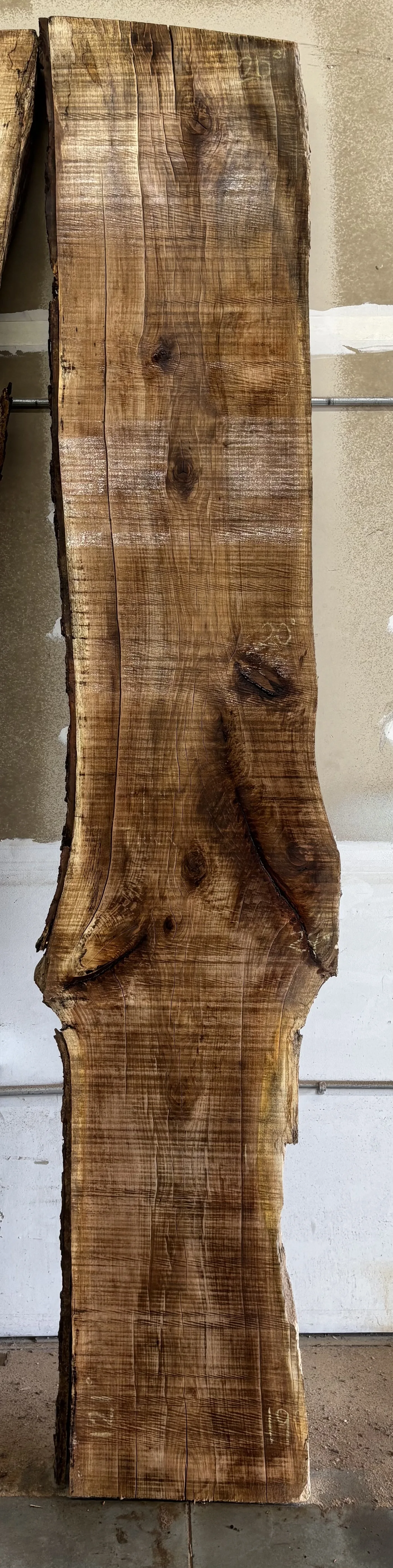 Hickory Slab C — Live Edge Slabs live edge slab photo 2