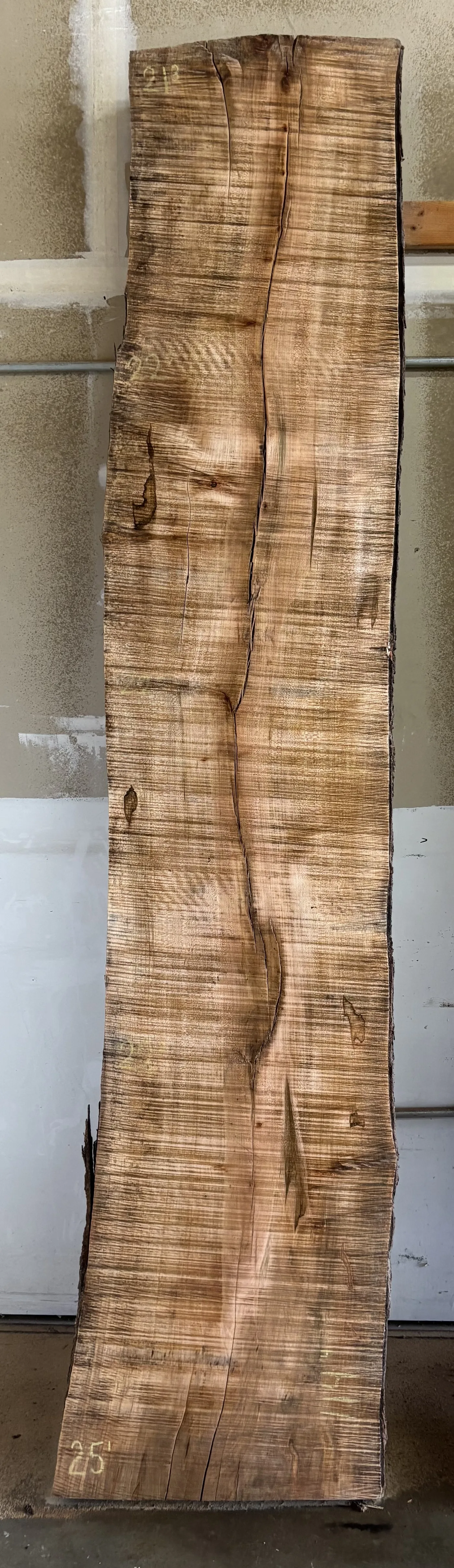 Maple Slab C — Maple live edge slab photo 2