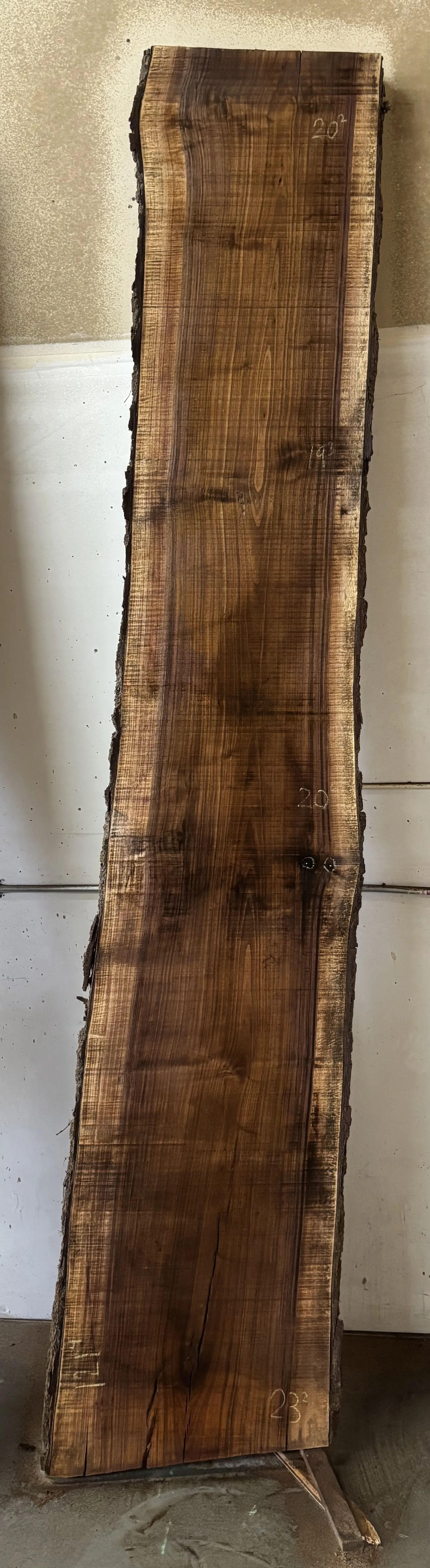 Walnut Slab B — Walnut live edge slab photo 2