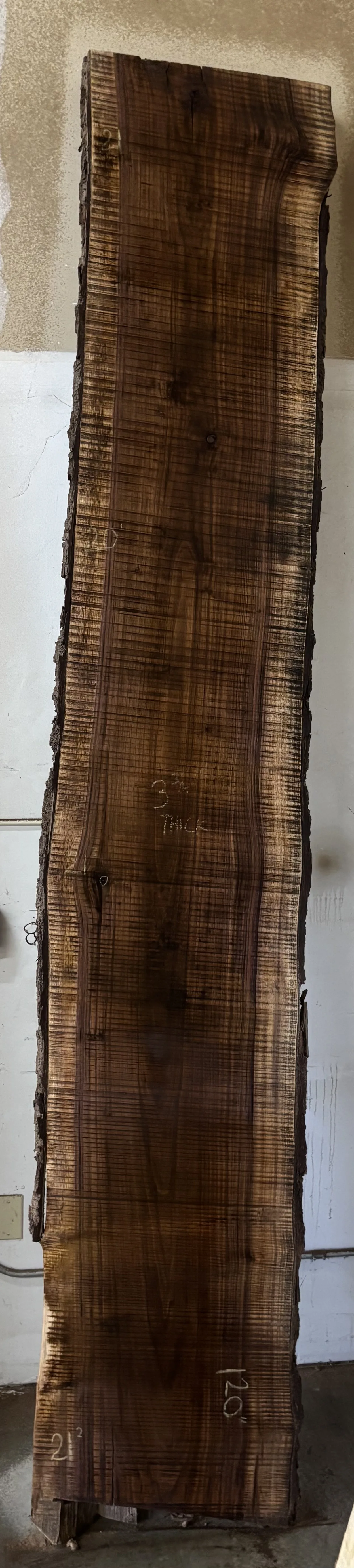 Walnut Slab A — Walnut live edge slab photo 2