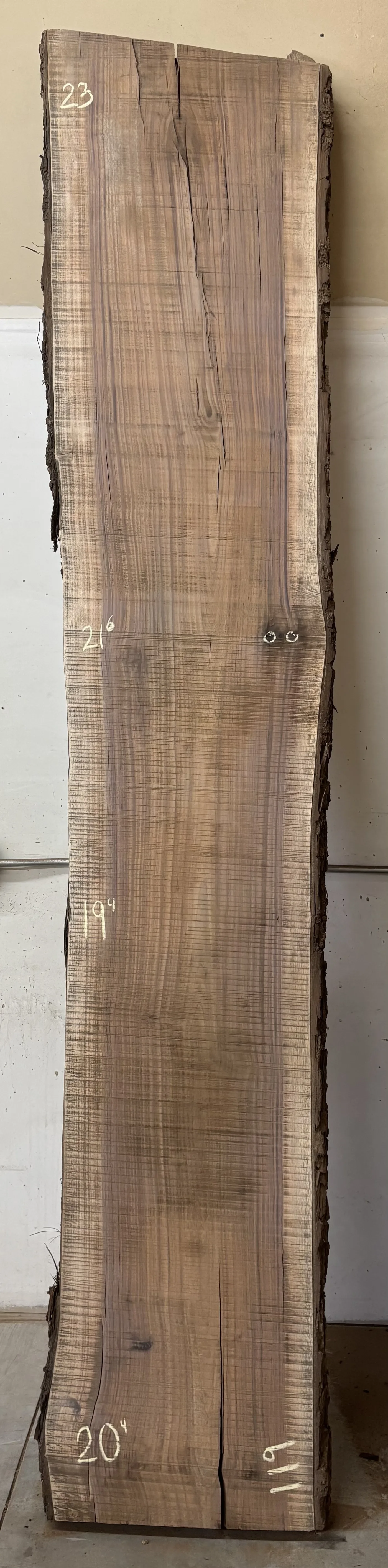 Walnut Slab C — Walnut live edge slab photo 1