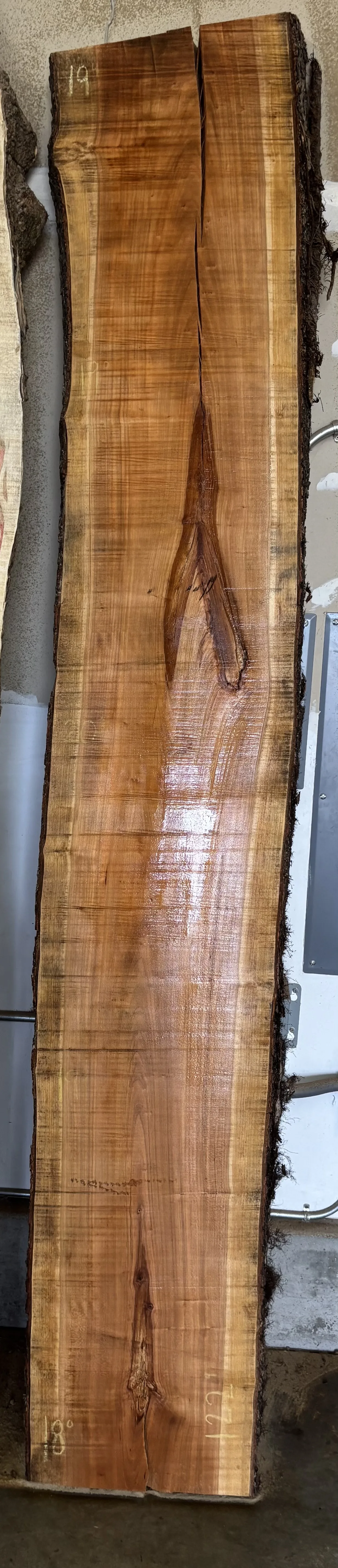 Cherry Slab A — Cherry live edge slab photo 2