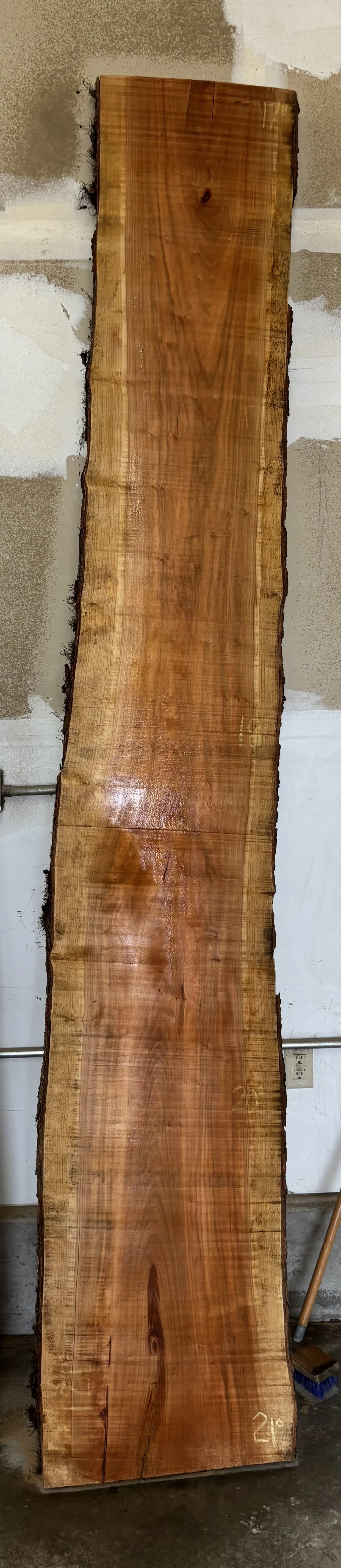 Cherry Slab B — Cherry live edge slab photo 2