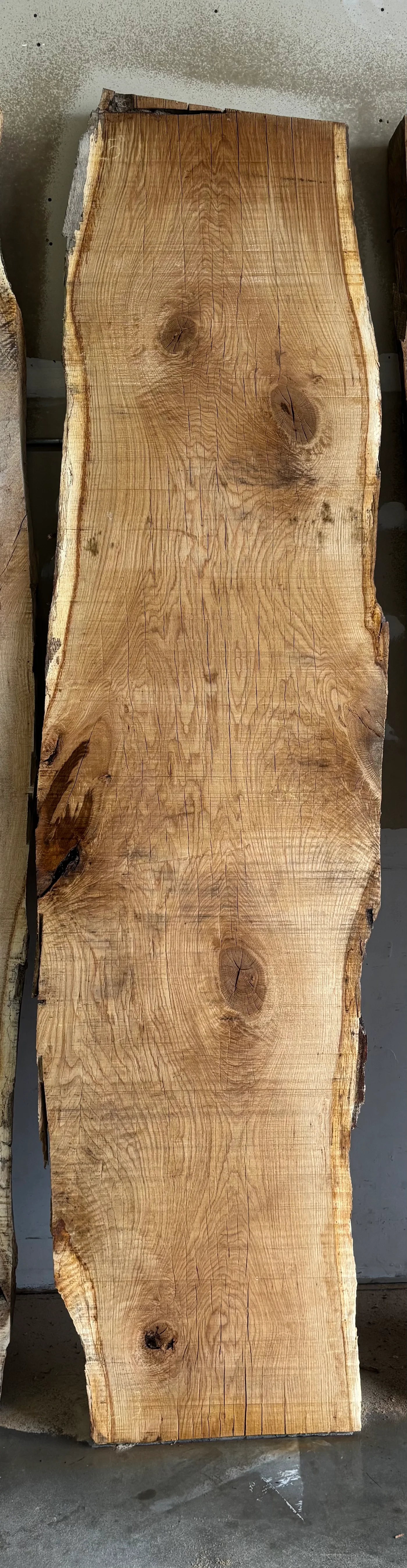 White Oak Slab A — Oak live edge slab photo 2