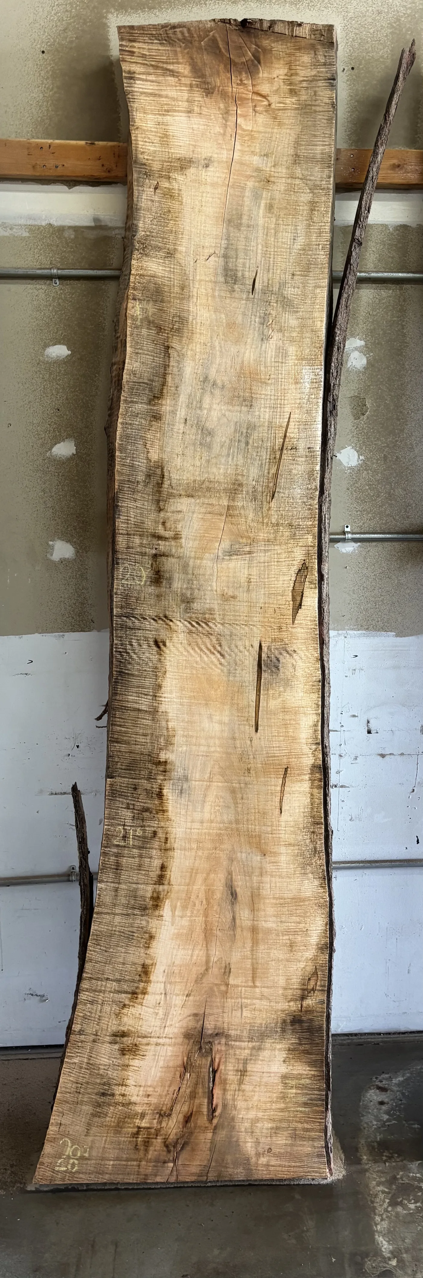 Maple Slab B — Maple live edge slab photo 2