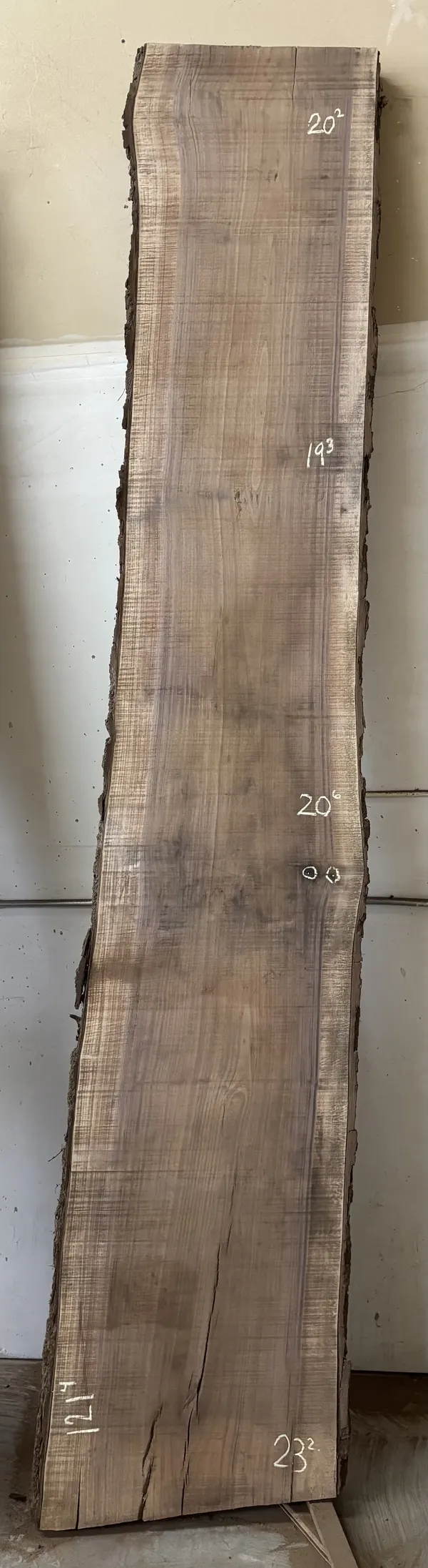Walnut Slab B